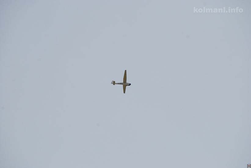 img00009.jpg