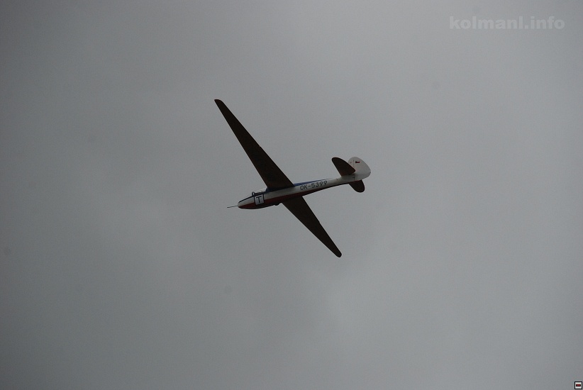 img00037.jpg